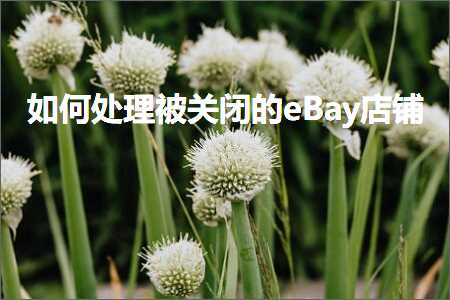 璺ㄥ鐢靛晢鐭ヨ瘑:濡備綍澶勭悊琚叧闂殑eBay搴楅摵