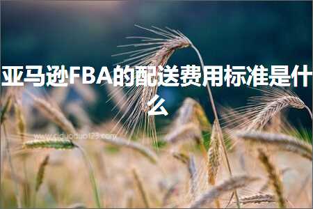 璺ㄥ鐢靛晢鐭ヨ瘑:浜氶┈閫奆BA鐨勯厤閫佽垂鐢ㄦ爣鍑嗘槸浠€涔? width=