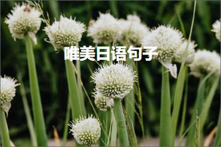 寮犺壓鍏村敮缇庡彞瀛愶紙鏂囨188鏉★級