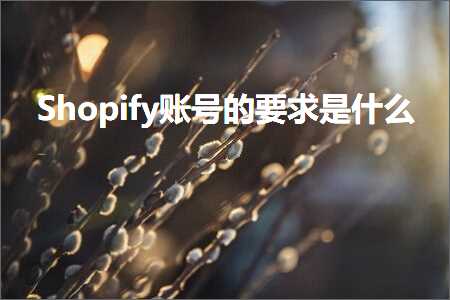 璺ㄥ鐢靛晢鐭ヨ瘑:Shopify璐﹀彿鐨勮姹傛槸浠€涔? width=