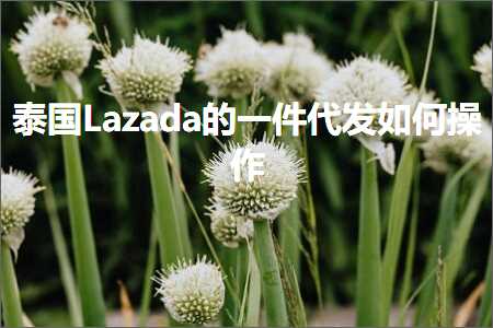 璺ㄥ鐢靛晢鐭ヨ瘑:娉板浗Lazada鐨勪竴浠朵唬鍙戝浣曟搷浣? width=