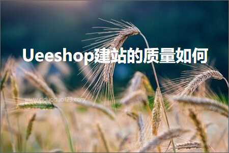 跨境电商知识:Ueeshop建站的质量如何