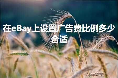 跨境电商知识:在eBay上设置广告费比例多少合适